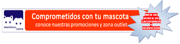 venta de perros en mascotalia