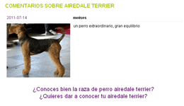 comentarios en cachorrosdeperros.es