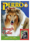 rsce boletin nº 36 el perro en españa