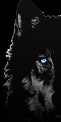 A Cova do Lobo