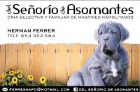 Del Señorio de Asomantes