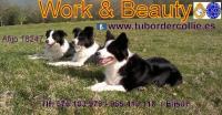 Work & Beauty