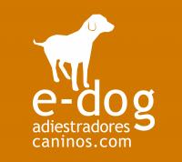 E-dog Adiestradores Alicante