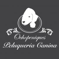 Ochopeniques Kennel