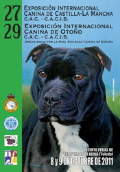 exposicin canina internacional castilla la mancha