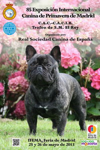 85 exposición canina internacional de primavera en Madrid