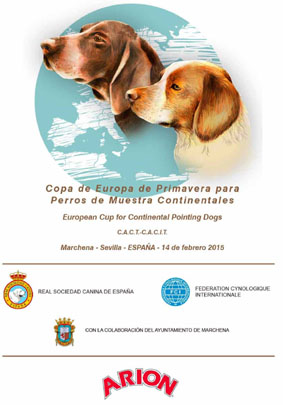 Copa de europa de primavera para perros de muestra continentales