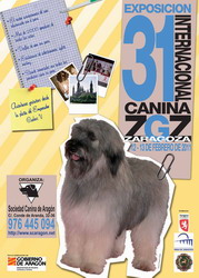 XXIII EXPOSICIÓN NACIONAL CANINA EN ZARAGOZA