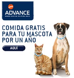 Affinity advance sorte cada mes comida gratis durante 1 año