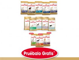 Prueba gratis los productos de alimentación para cachorros de raza con Ro