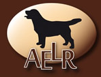 asociacion labrador retriever