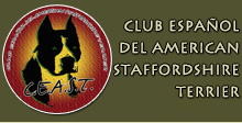 Club Español del American Staffordshire Terrier