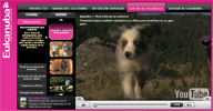 eukanuba tv