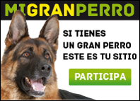 migranperro de royal canin