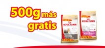 Más alimento gratis para tu Yorshire o West Highland con Royal Canin