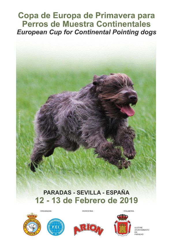 copa 2019 perros