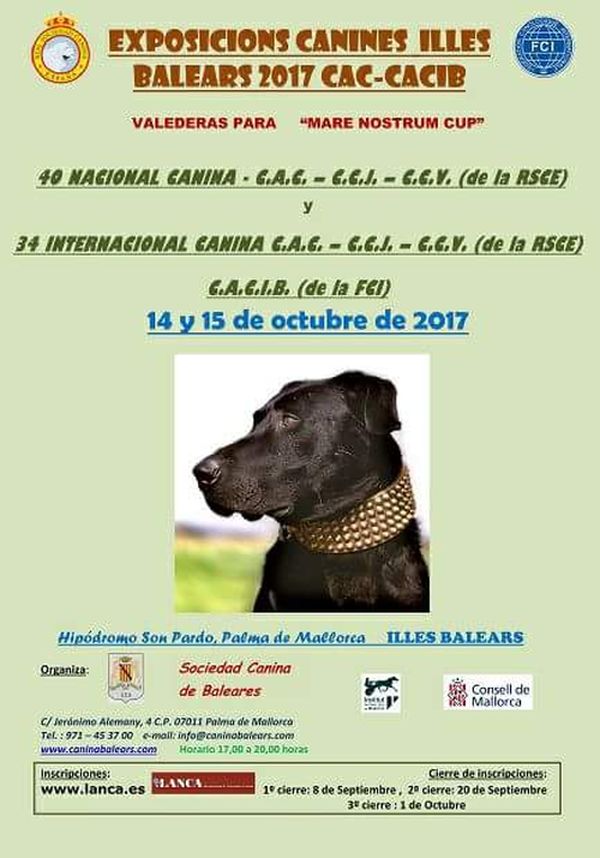 Exposición canina Islas Baleares 14 y 15 de octubre 2017